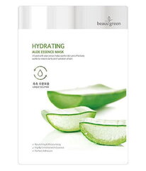 Niisutav kangasmask Beauugreen Aloe Essence 23 g hind ja info | Näomaskid ja silmamaskid | hansapost.ee