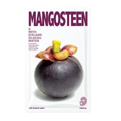 Lehtmask näole Bliue Dot Mangosteen 20 g hind ja info | Näomaskid ja silmamaskid | hansapost.ee