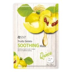 Rahustav kangasmask SNP Fruits Gelato Soothing Mask, 25ml hind ja info | Näomaskid ja silmamaskid | hansapost.ee
