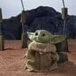 Hasbro Star Wars: The Mandalorian The Child Baby Yoda цена и информация | Mänguasjad poistele | hansapost.ee