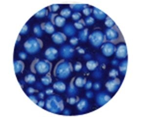 Шариковый моделин Foam Clay синий, 35 г цена и информация | Принадлежности для рисования, лепки | hansapost.ee