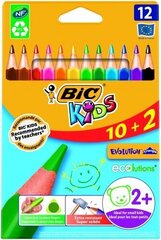 Цветные карандаши BIC CEV.TRIANG.CBW 10 + 2 EU, 12 цветных карандашей, 214842 цена и информация | Bic Гигиенические товары | hansapost.ee