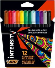 Фломастеры Color Up 12 цена и информация | Принадлежности для рисования, лепки | hansapost.ee