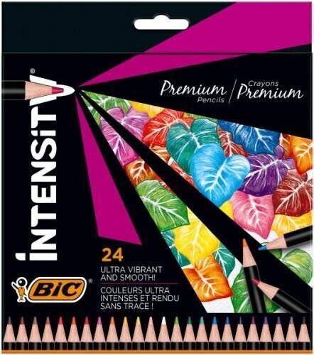 Värvilised pliiatsid BIC Intensity, 24 tk. 967823 цена и информация | Kunstitarbed, voolimise tarvikud | hansapost.ee