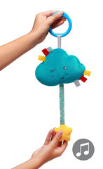 Игрушка BabyOno с музыкальным облаком, 616 цена и информация |  Мягкие игрушки | hansapost.ee