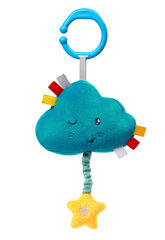 Игрушка BabyOno с музыкальным облаком, 616 цена и информация |  Мягкие игрушки | hansapost.ee