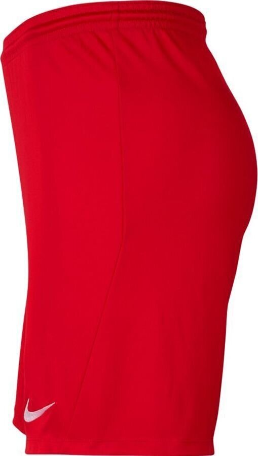 Meeste lühikesed püksid Nike BV6855 657, punane hind ja info | Lühikesed püksid meestele | hansapost.ee