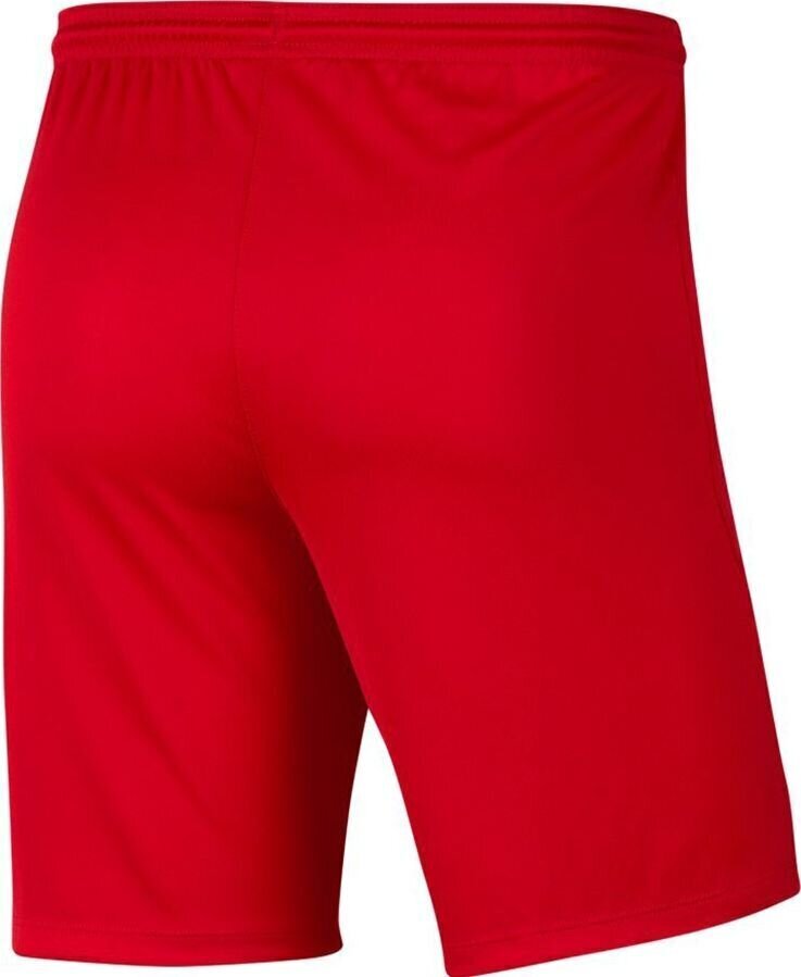 Meeste lühikesed püksid Nike BV6855 657, punane цена и информация | Lühikesed püksid meestele | hansapost.ee
