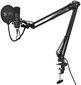 Mikrofon SPC Gear SM900 Streaming цена и информация | Mikrofonid | hansapost.ee
