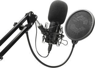 Speedlink mikrofonikomplekt Volity Ready Streaming Starter Set hind ja info | Mikrofonid | hansapost.ee
