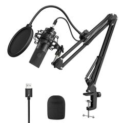 Студийный конденсаторный микрофон FIFINE K780A, комплект цена и информация | Микрофоны | hansapost.ee