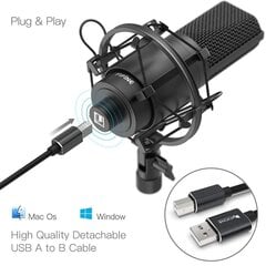 Студийный конденсаторный микрофон FIFINE K780A, комплект цена и информация | Микрофоны | hansapost.ee