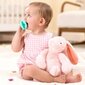 Munchkin 2pk Sili-Soother & Teether Pink/Purple цена и информация | Närimismänguasjad lastele | hansapost.ee