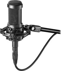 Mikrofon Audio-Technica ATE-AT2050 hind ja info | Mikrofonid | hansapost.ee