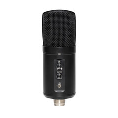 Двойной конденсаторный USB-микрофон Stagg SUSM60D цена и информация | Микрофоны | hansapost.ee