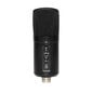Kahe kondensaatoriga USB -mikrofon Stagg SUSM60D hind ja info | Mikrofonid | hansapost.ee