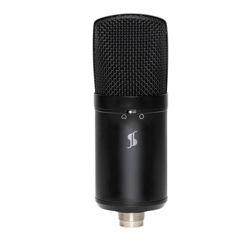 Kahe kondensaatoriga USB -mikrofon Stagg SUSM60D цена и информация | Mikrofonid | hansapost.ee