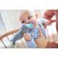 Lutt plüüsist mänguasjaga Philips Avent "Ultra soft", 0-6 kuud, SCF318/14 hind ja info |  Lutid | hansapost.ee