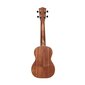 Kontsert-ukulele Stagg UC-30 Spruce hind ja info | Kitarrid | hansapost.ee