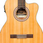 Elektroakustiline klassikaline kitarr Stagg SCL70 TCE-NAT hind ja info | Kitarrid | hansapost.ee