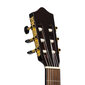 Klassikaline kitarr Stagg SCL60-NAT hind ja info | Kitarrid | hansapost.ee