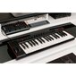 MIDI klaviatuur iRig Keys 2 цена и информация | Muusikainstrumentide tarvikud | hansapost.ee