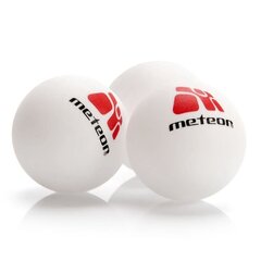 Lauatennise komplekt Meteor 15029 цена и информация | Ракетки для настольного тенниса, чехлы и наборы | hansapost.ee