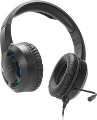 Speedlink Casad SL450305 price and information | Headphones | hansapost.ee