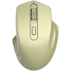 Canyon MW-15, золотого цвета цена и информация | Компьютерные мыши | hansapost.ee