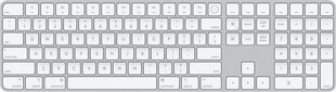 Apple MK2C3LB/A цена и информация | Клавиатуры | hansapost.ee