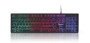 Клавиатура Gembird Rainbow backlight multimedia k цена и информация | Клавиатуры | hansapost.ee