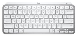 Juhtmevaba klaviatuur Logitech MX Keys Mini, SWE, valge - 920-010493 hind ja info | Klaviatuurid | hansapost.ee