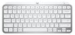 Juhtmevaba klaviatuur Logitech MX Keys Mini, SWE, valge - 920-010493 цена и информация | Klaviatuurid | hansapost.ee