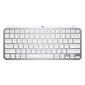 Juhtmevaba klaviatuur Logitech MX Keys Mini, SWE, valge - 920-010493 hind ja info | Klaviatuurid | hansapost.ee