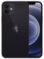 Apple iPhone 12 256GB Black MGJG3ET/A цена и информация | Telefonid | hansapost.ee