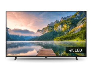 Panasonic TX-40JX800E цена и информация | Телевизоры | hansapost.ee