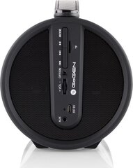 Hyundai GoGEN BPS320STR USB BT цена и информация | Аудио колонки | hansapost.ee