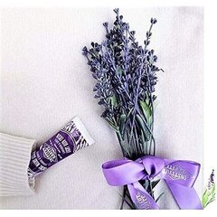 Kätekreem Institut Karite Paris So Fairy Lavender Light Hand 30 ml hind ja info | Kehakreemid, kehaõlid ja losjoonid | hansapost.ee