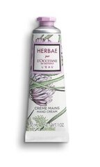 Kätekreem L'Occitane Herbae L'Eau, 30 ml hind ja info | Kehakreemid, kehaõlid ja losjoonid | hansapost.ee