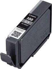 Canon 4200C001, серый цена и информация | Картриджи для струйных принтеров | hansapost.ee
