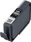 CANON PFI-300 GY EUR/OCN grey цена и информация | Tindiprinteri kassetid | hansapost.ee