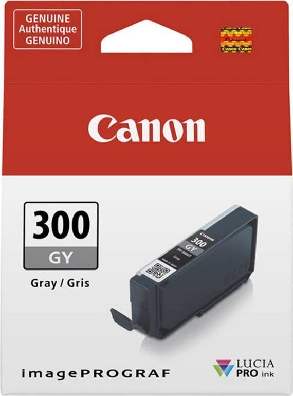 CANON PFI-300 GY EUR/OCN grey hind ja info | Tindiprinteri kassetid | hansapost.ee
