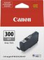 CANON PFI-300 GY EUR/OCN grey цена и информация | Tindiprinteri kassetid | hansapost.ee