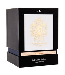 Parfüümvesi Tiziana Terezi Foconero EDP naistele/meestele 100 ml hind ja info | Tiziana Terenzi Parfüümid, lõhnad ja kosmeetika | hansapost.ee