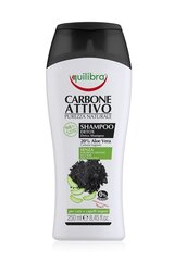 Equilibra aktiivsöega šampoon 250 ml hind ja info | Šampoonid | hansapost.ee