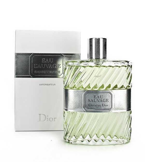 Tualettvesi Christian Dior Eau Sauvage EDT meestele 200 ml цена и информация | Parfüümid meestele | hansapost.ee