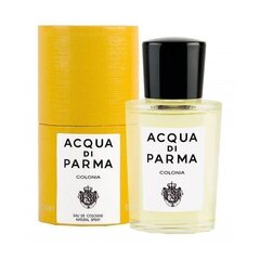 Meeste parfüüm Colonia Acqua Di Parma EDC, 20 ml цена и информация | Мужские духи | hansapost.ee