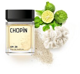 Parfüümvesi Chopin OP.28 EDP meestele 100 ml hind ja info | Parfüümid meestele | hansapost.ee