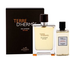 Komplekt Hermes Terre d'Hermes Eau Intense Vetiver meestele: EDP parfüümvesi 100 ml + dušigeel 80 ml цена и информация | Мужские духи | hansapost.ee