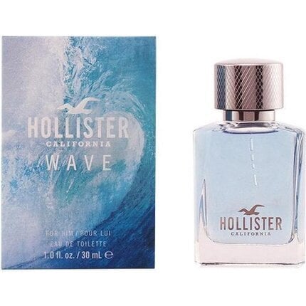 Meeste parfüüm Wave For Him Hollister EDT: Maht - 100 ml цена и информация | Parfüümid meestele | hansapost.ee